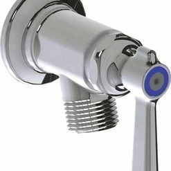 Best reviews of 🥰 Chicago Faucets 6-1/2 in. Handle in Polished Chrome ✨