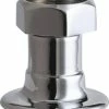 Budget β¨ Chicago Faucets 1/2 in. FNPT Straight Inlet Arm in Polished Chrome π 2 Budget β¨ Chicago Faucets 1/2 in. FNPT Straight Inlet Arm in Polished Chrome π -LSP Shop Query 417